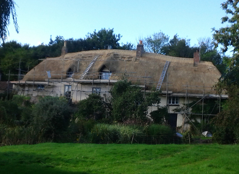 Re Thatching Devon