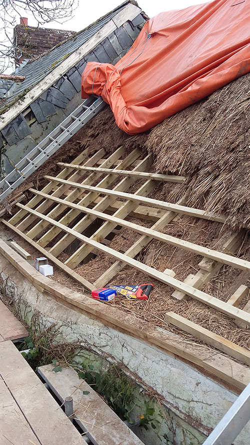 Reed Thatching