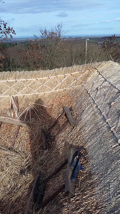Ridge thatch in progress