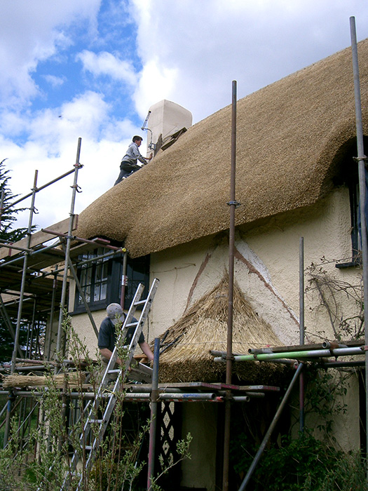 Wheat Reed Thatch