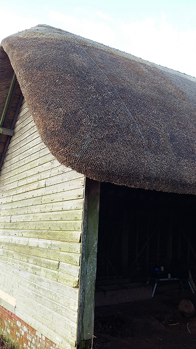 Wire Netting on a thatched roof