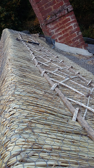 Wire netting ridge