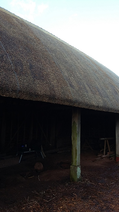 Wire netting thatch